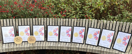 Royal Tunbridge Wells in Bloom 2025 - SSeiB awards @RHS Wisley