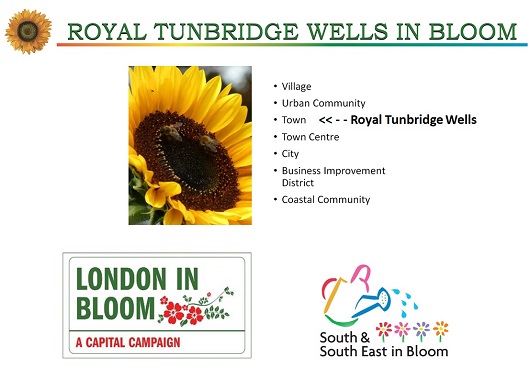 Royal Tunbridge Wells in Bloom 2021 - South and Southeast in Bloom